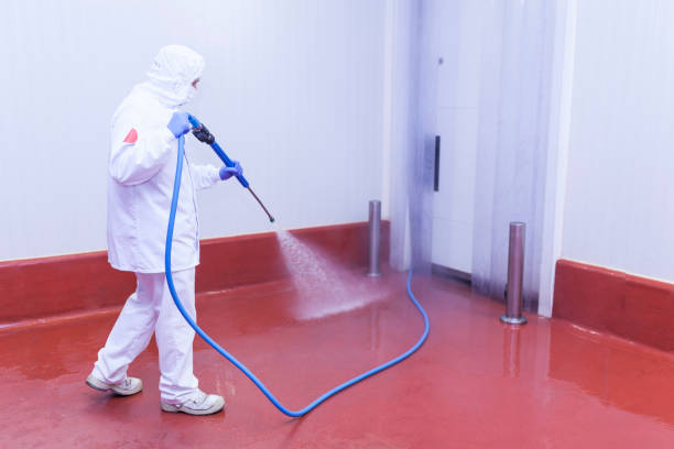 Paint Preparation in Manning, SC